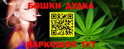 стаф Кинель