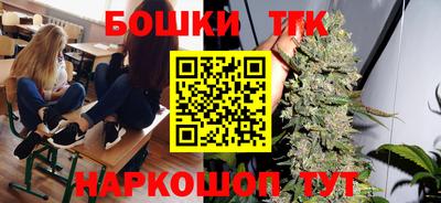спиды Кингисепп