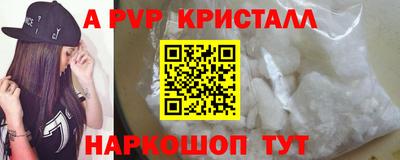 спиды Кингисепп