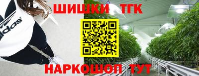 стаф Кинель