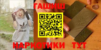 спиды Кингисепп