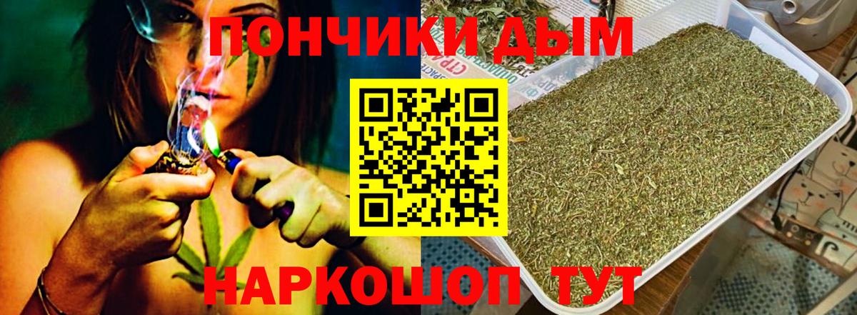 Бошки марихуана семена  Вход с VPN  Канабис SATIVA & INDICA  Элиста  Шишки марихуана план 